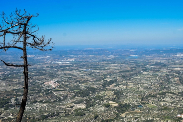  Descubra os arredores de Valência 