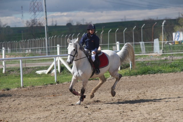 Controlando el galope del caballo