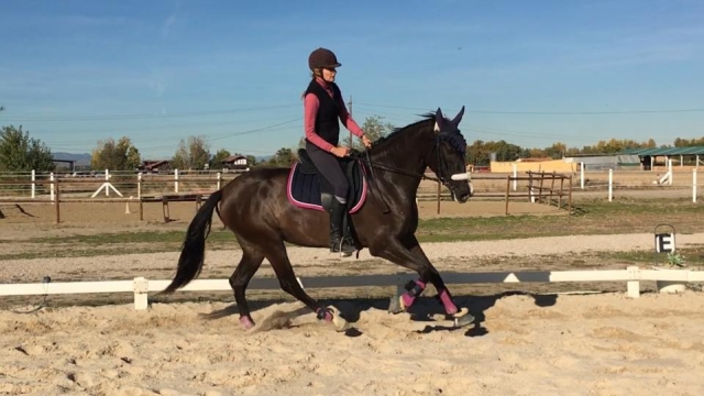 Cabalgando en la arena
