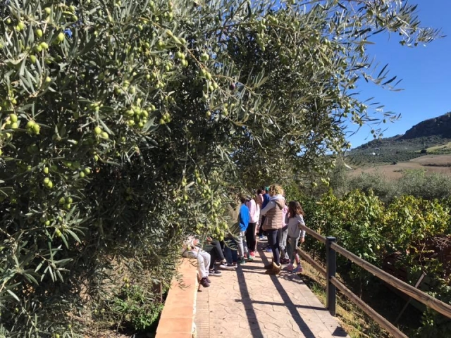  Discovering the native vegetation 
