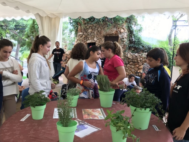  Learning more about the vegetation 