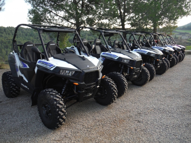 Flota de buggies Polaris RZR 900