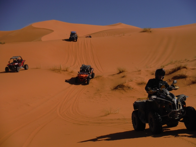 Grupo de pilotos de buggies en Marruecos
