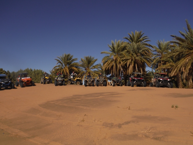 Buggies y palmeras en Marruecos