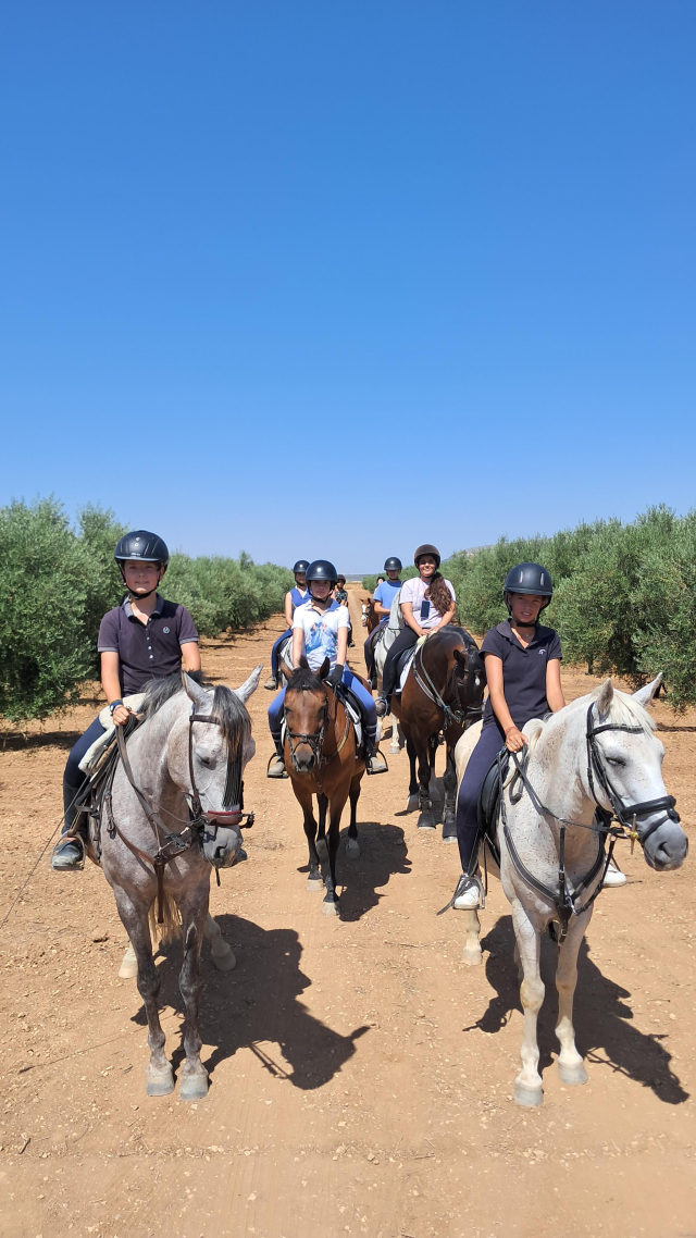  Promenade à travers la Vega de Antequera 