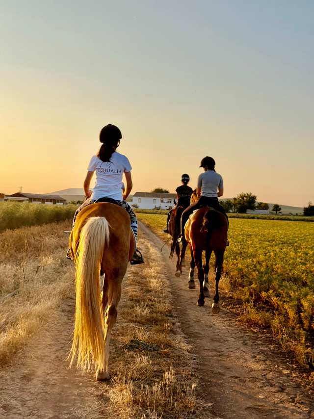  Excursion à cheval au coucher du soleil à Malaga 