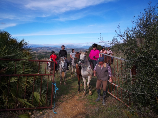 Salidas a caballo guiadas Antequera