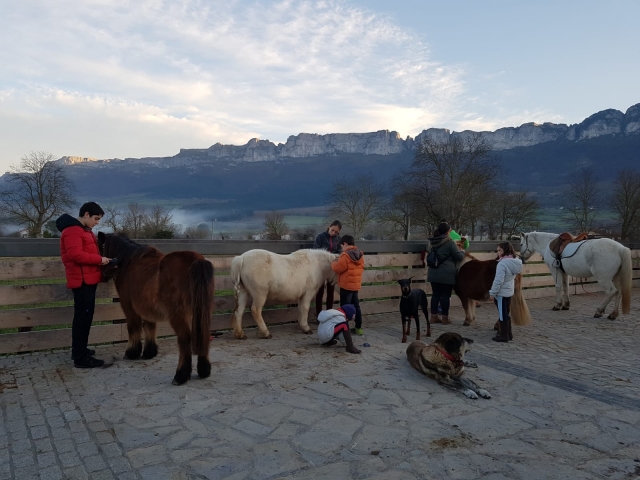 Tratando con los animales