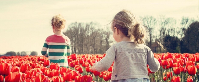 Campamento en Mallorca