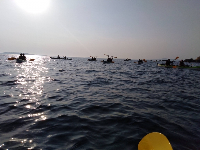 Ruta en kayak con amigos