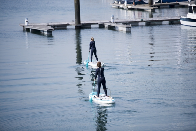  Avanzare con le tavole da paddle surf attraverso il porto 