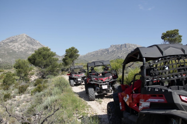 Levantando polvo en los buggies