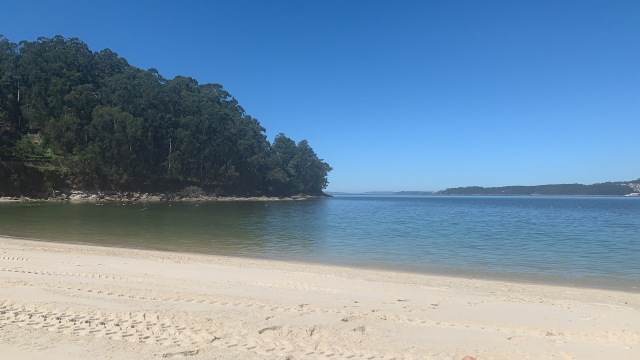  庞特维德拉的海滩 