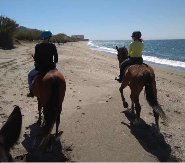 En la playa de Motril con los caballos