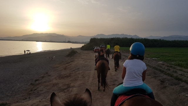 Atardecer en la playa con los caballos