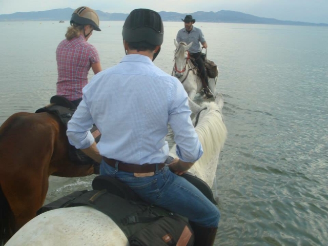 Dentro del mar sobre los caballos