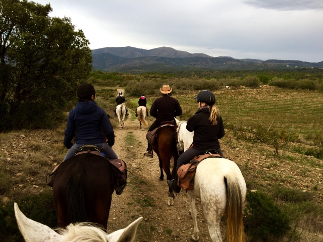 Salida al campo con los caballos
