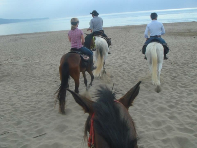Salida a la playa con los caballos