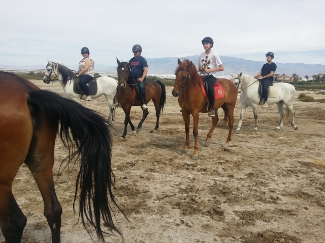  Chevaux à Roquetas de Mar 