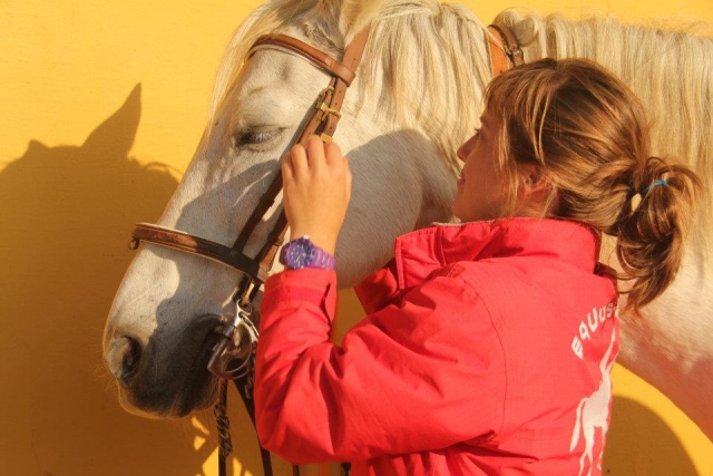  Preparazione del cavallo per la classe 