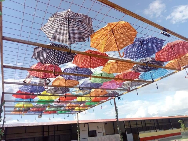 Zona con sombra en la finca