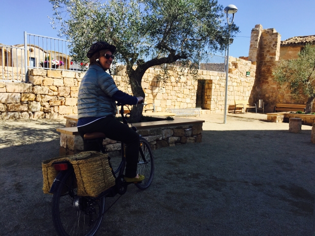 Burricleta en Lleida