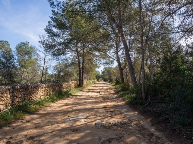 Caminos de Mallorca