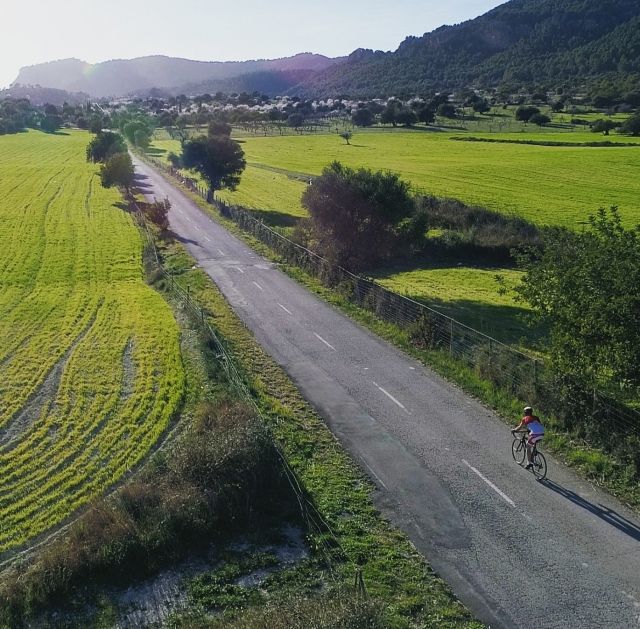 Carreteras de Mallorca