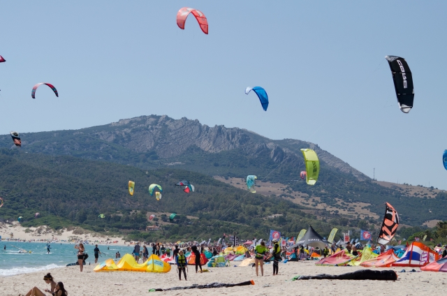  Una spiaggia piena di aquiloni 