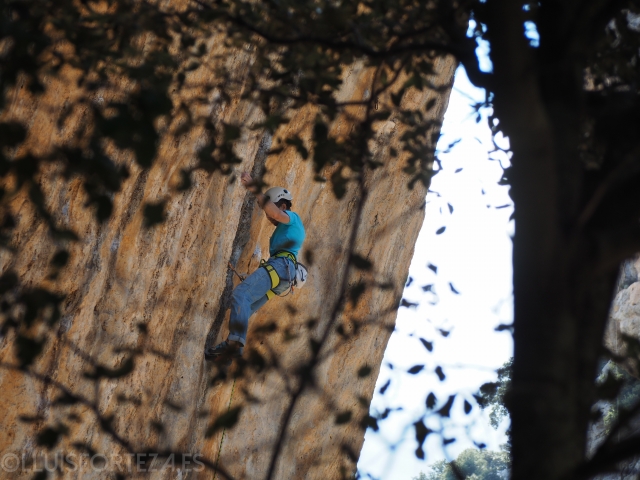 Por la pared