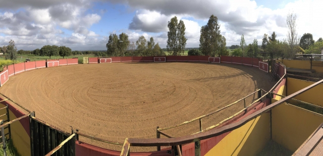 Panorámica de nuestra plaza de toros