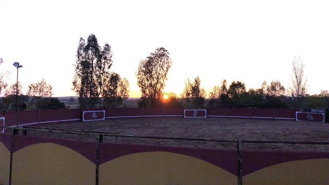 Plaza para celebrar capeas en Badajoz