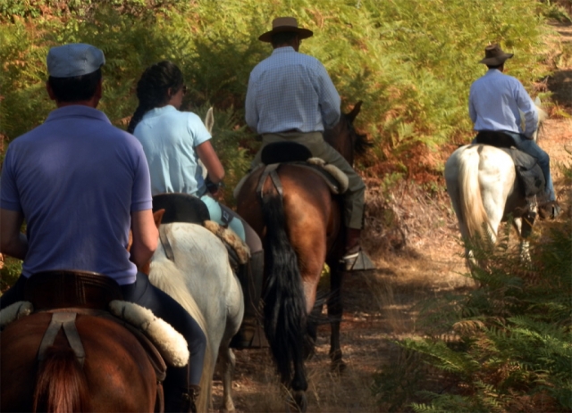 Paseos a caballo en Badajoz