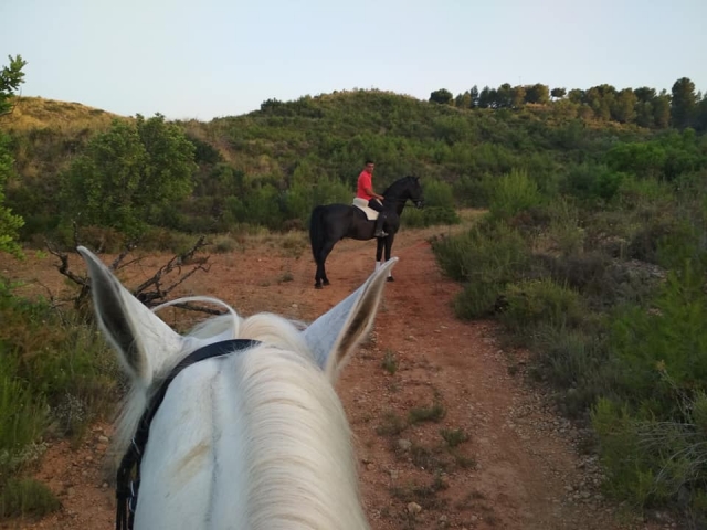 Paseos a caballo