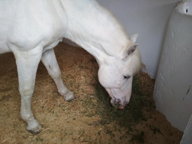 Tomando un aperitivo