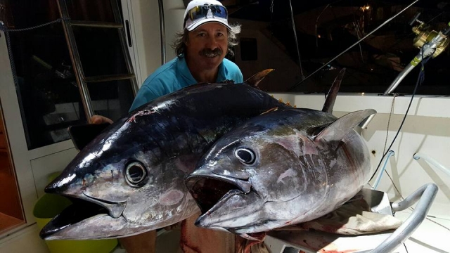  Variety of fish in Tenerife fishing 