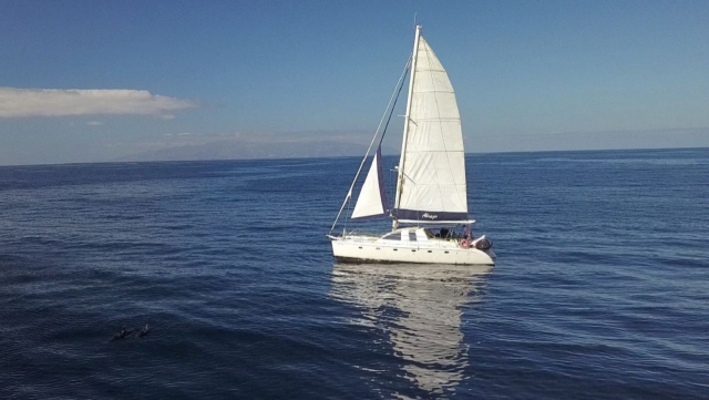 Travesía en catamarán a vela Adeje