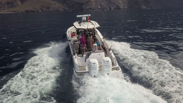 Tour en barco por la costa sur de Tenerife