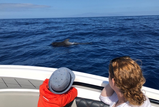 Whale watching en familia Tenerife