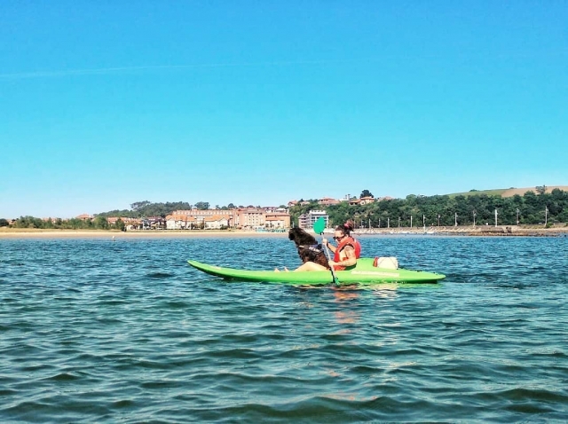 Paseo en kayak por Somo en compañía de tu perro