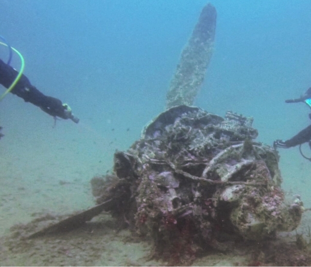 Dejándonos sorprender por el fondo marino