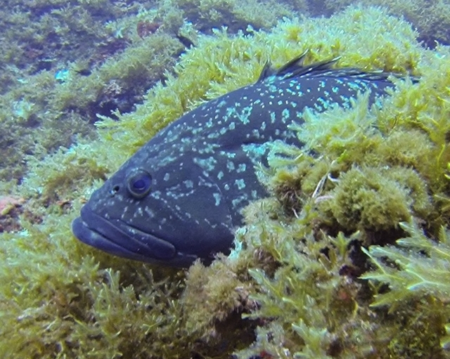 Sorpresas sin límites en cada inversión