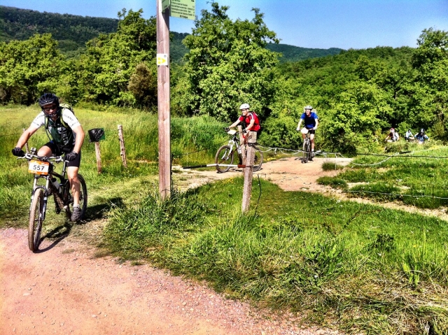 Grupo de ciclistas por la montaña