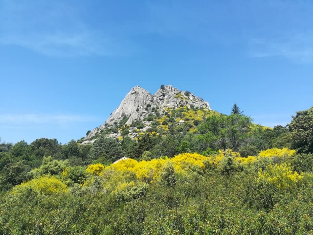 Paraje Natural Sierra Norte de Madrid