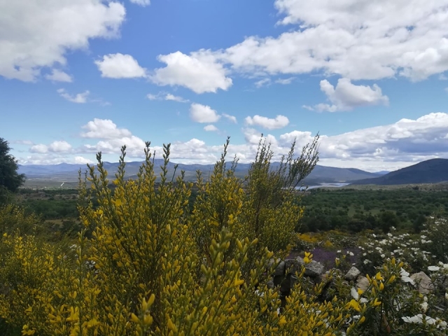 Sierra de Madrid