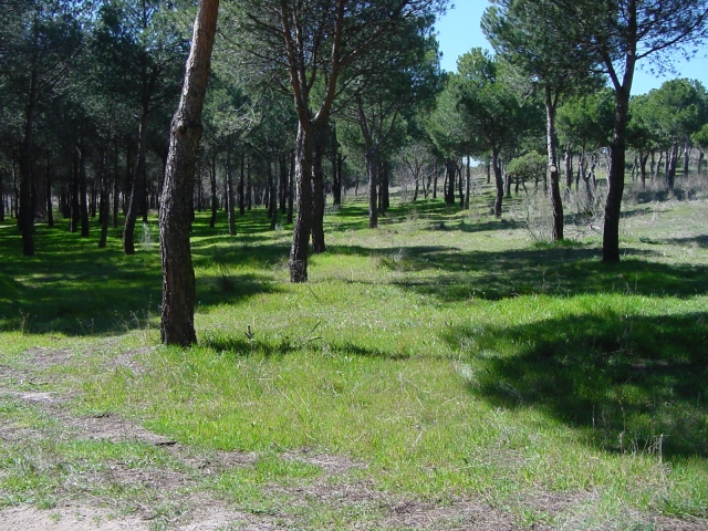 Sierra de Madrid para hacer gymkanas