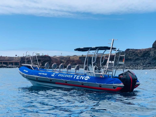 Barco semirrígido para excursión en barco
