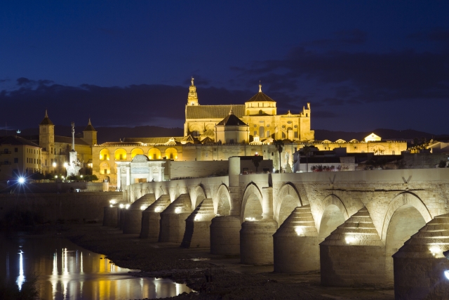 Puente de Córdoba de noche