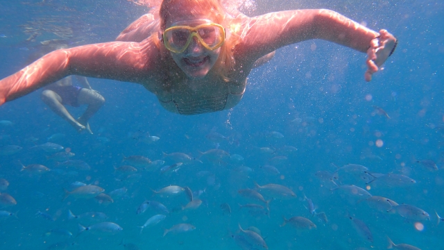 Buceando por las aguas cristalinas 