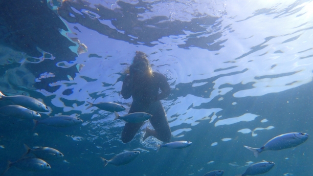 Snorkel en Canarias 